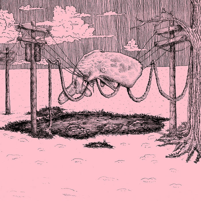 the whaler | Album&nbsp;Review